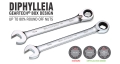 DIPHYLLEIA GEARTECH&#174; COMBINATION WRENCHES