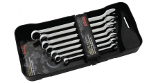PR-TYPE COMBINATION WRENCH SET IN PP TRAY