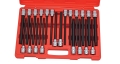 22PCS 1-2INCH DR PROFESSIONAL INSERT BIT SOCKET